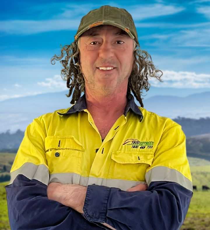 Charlie D'Amico — Managing Director & Qualified Arborist