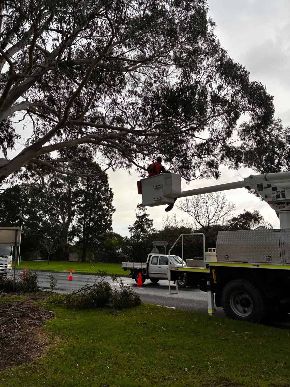 Ewp bucket tree works