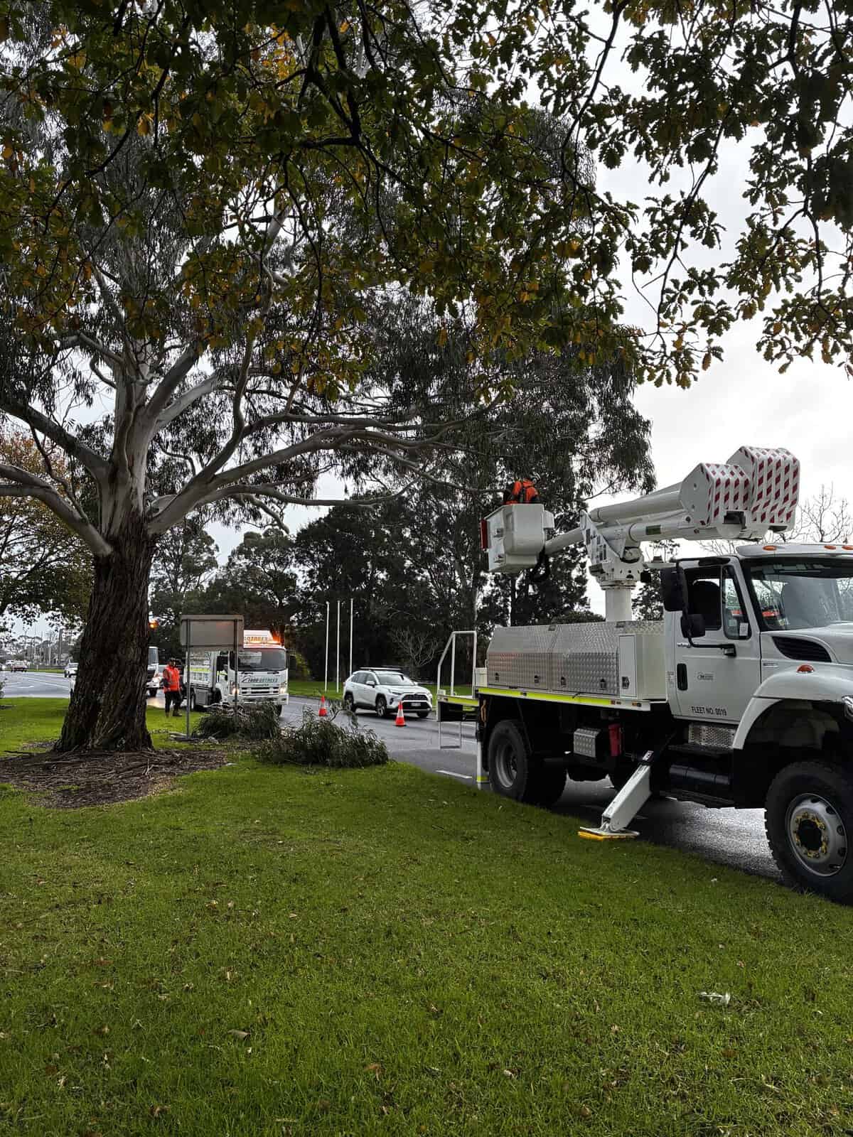 Ewp crane truck large gum