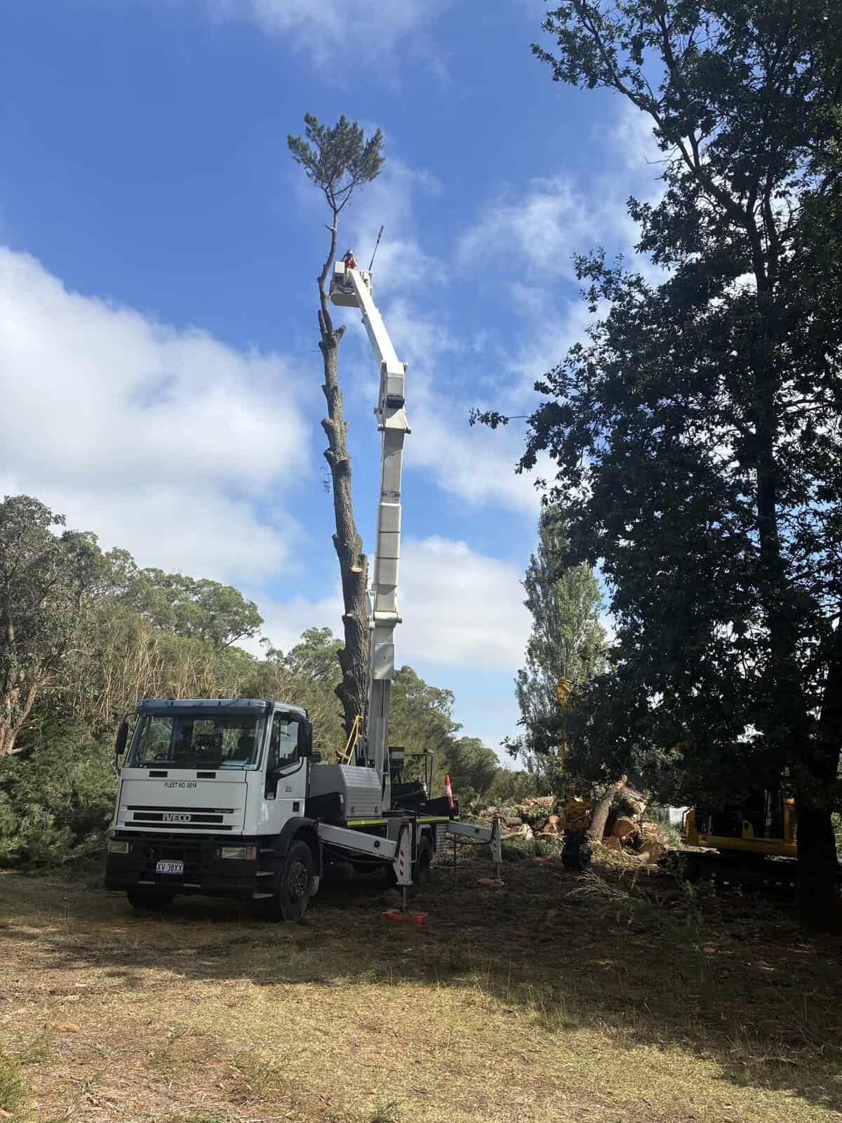 EWP working a large gum