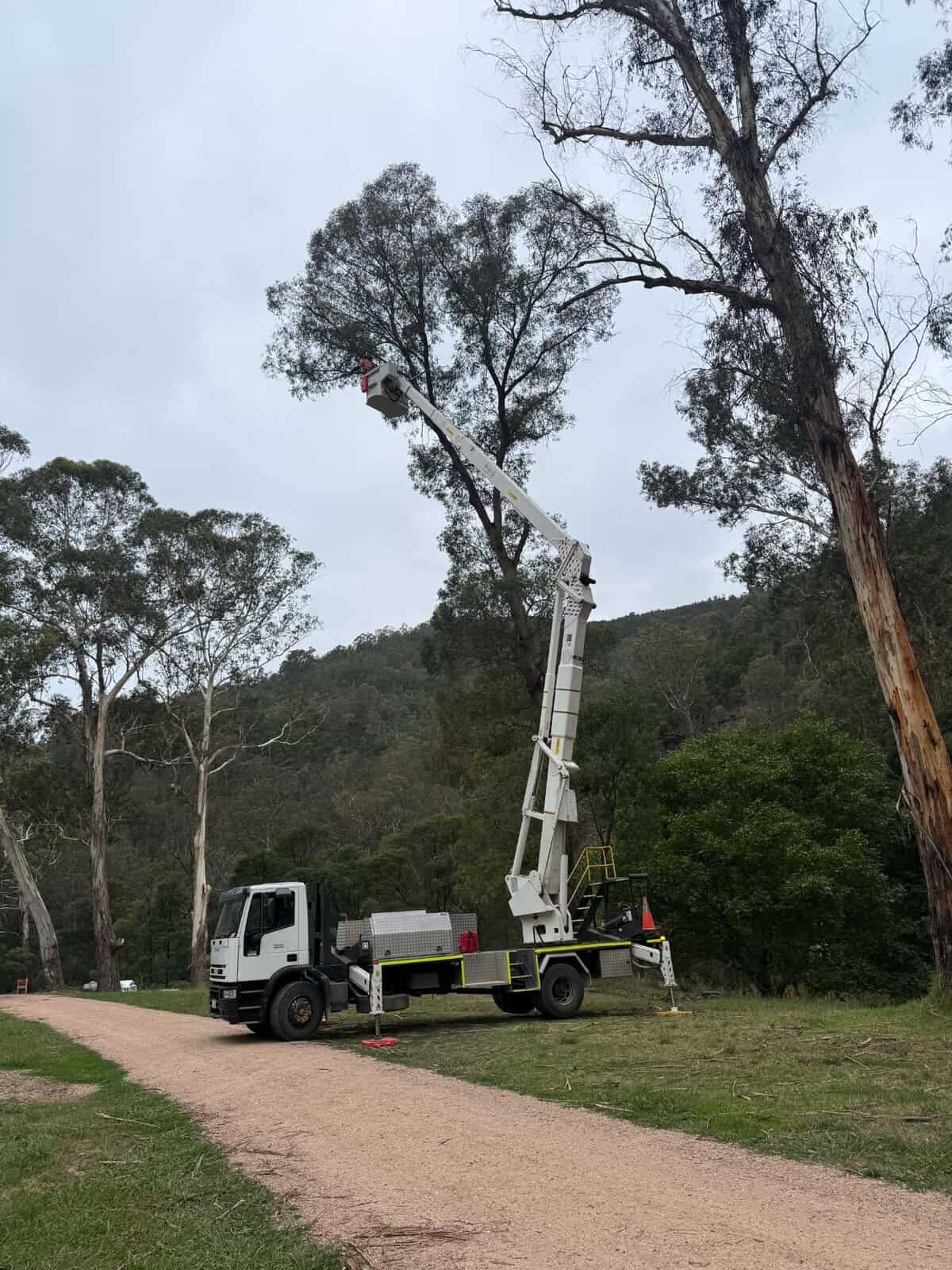 Ewp hire elevated work platform