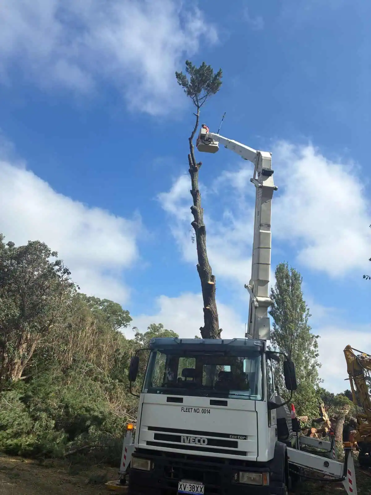 Tall tree removal from an elevated work platform