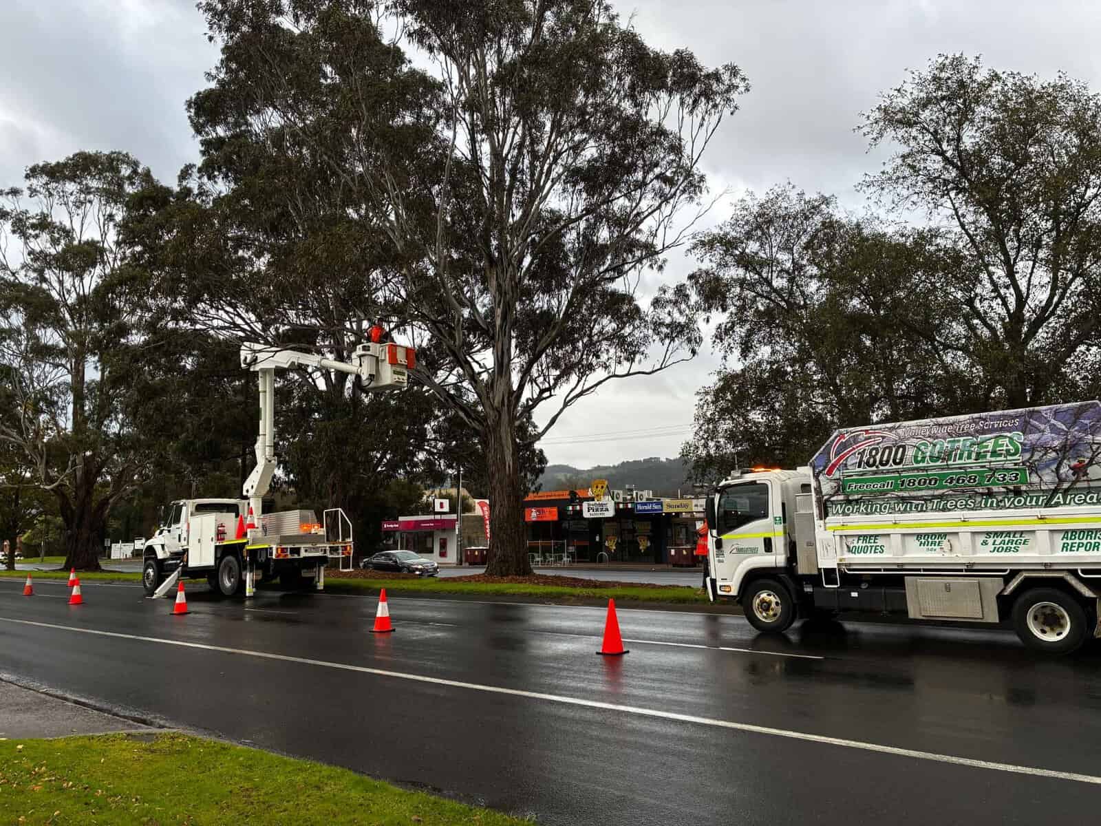 Valley Wide branded EWP truck on a tree job