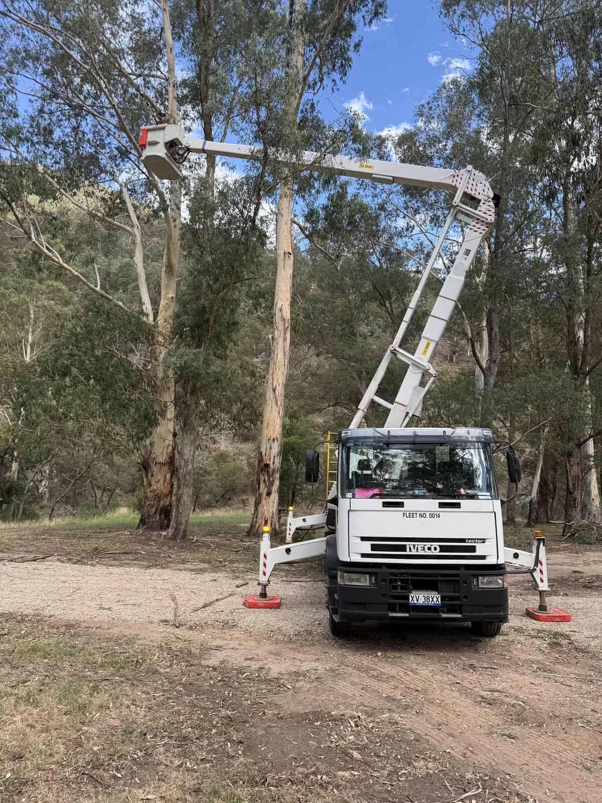 An EWP set up and stabilised for tree work