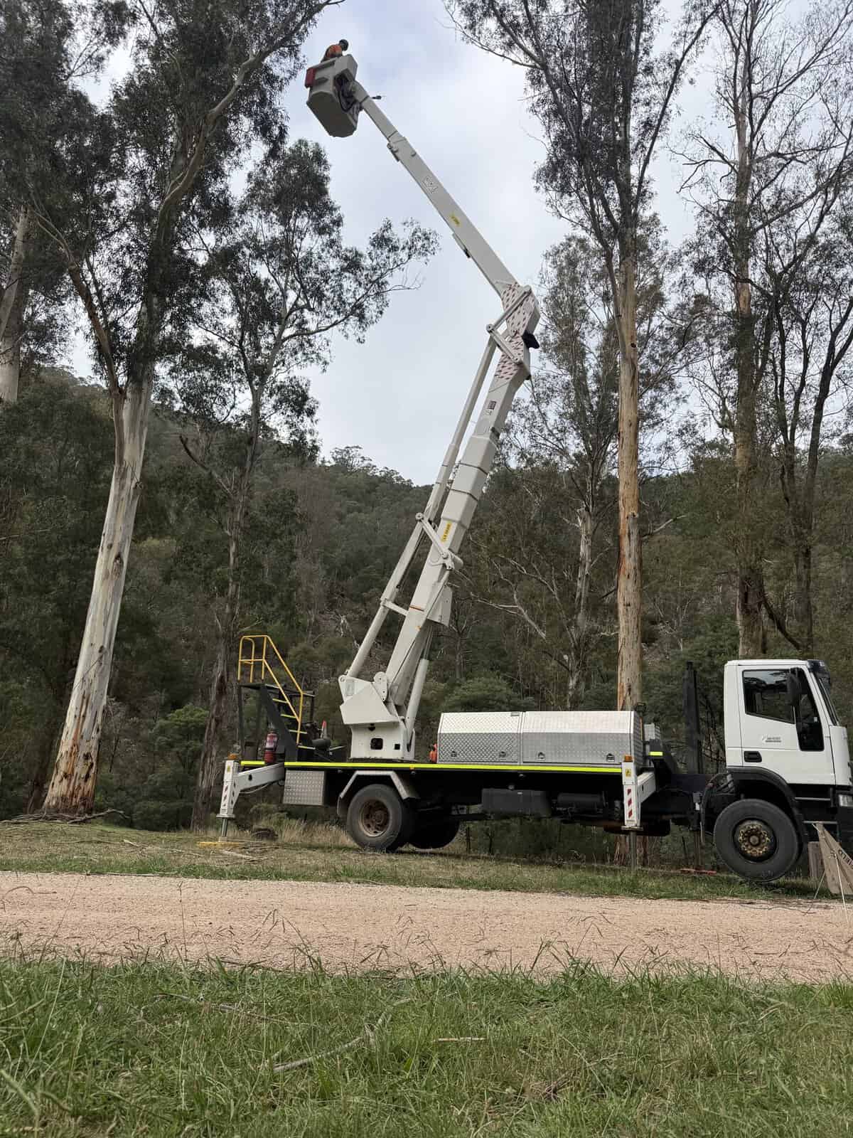Pruning from an elevated work platform