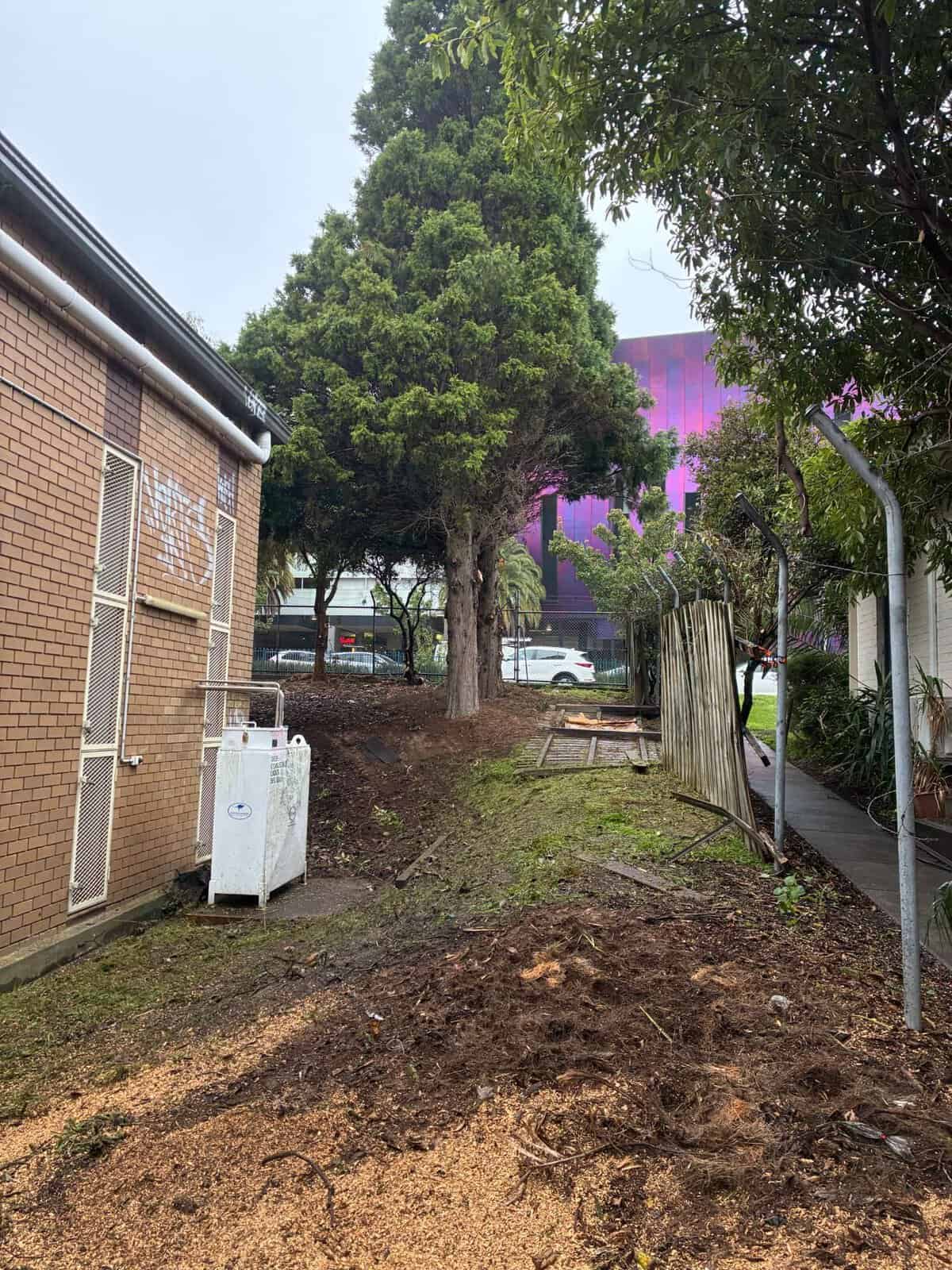 Land clearing commercial site