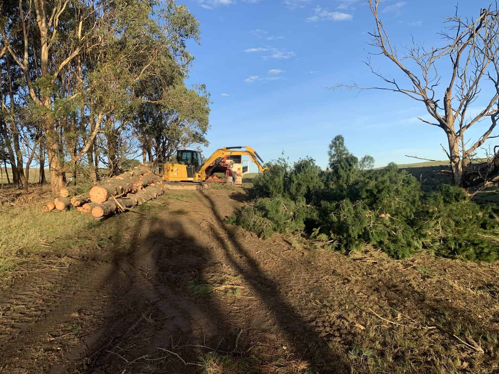 Excavator clearing felled timber