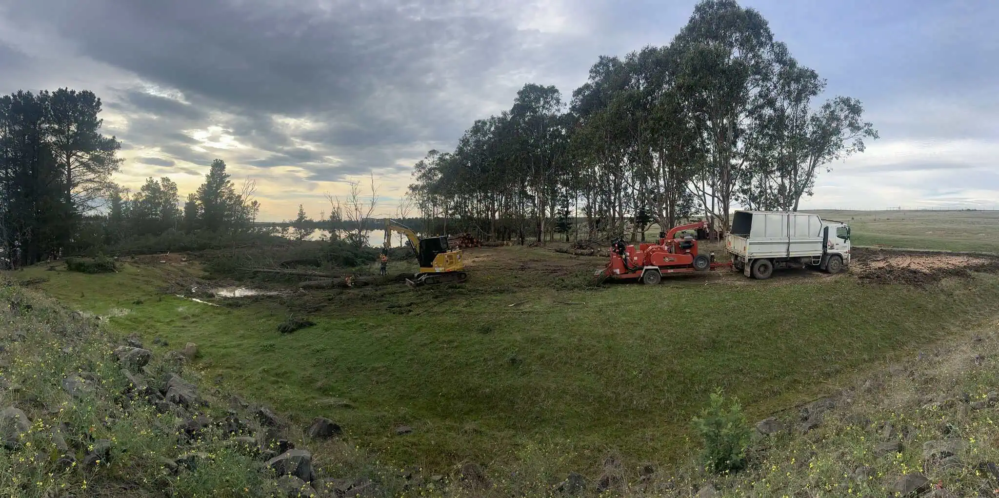 A cleared paddock