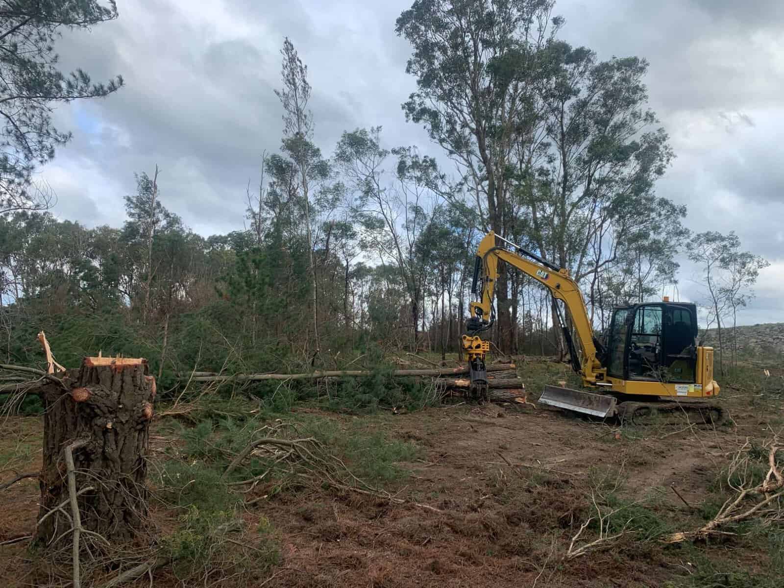 Stump grinding quoted on site