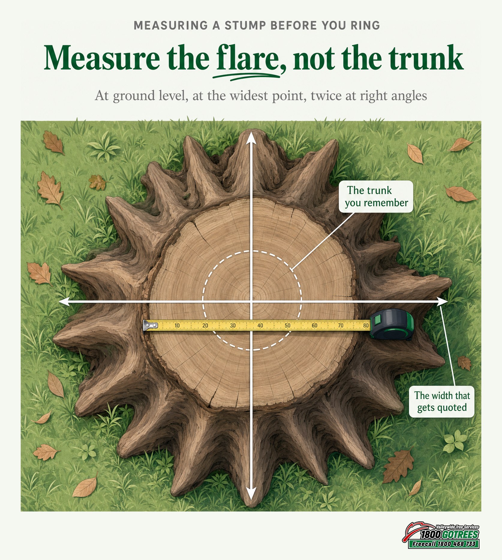 Measuring the stump flare before grinding