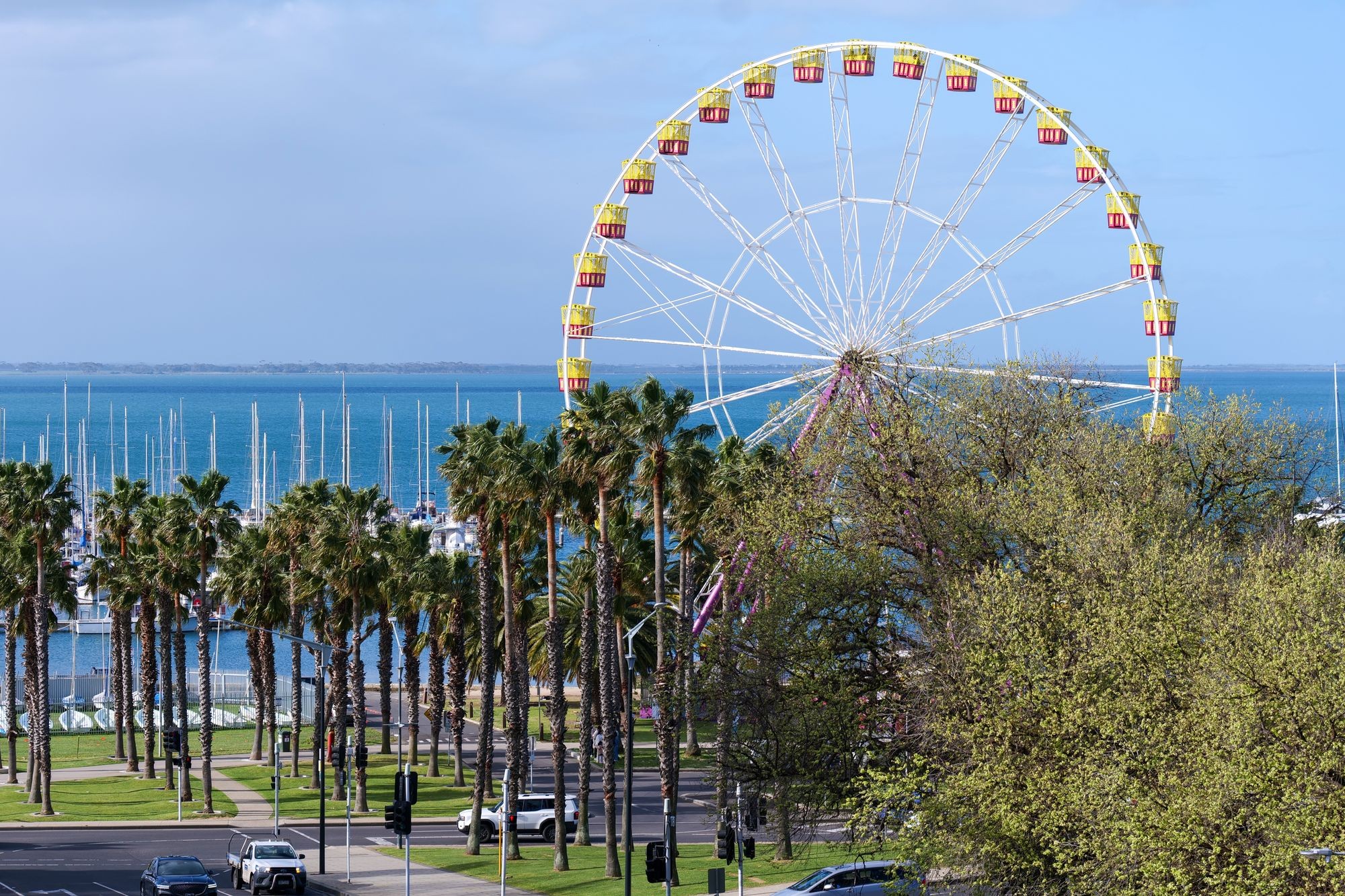 Vw location geelong