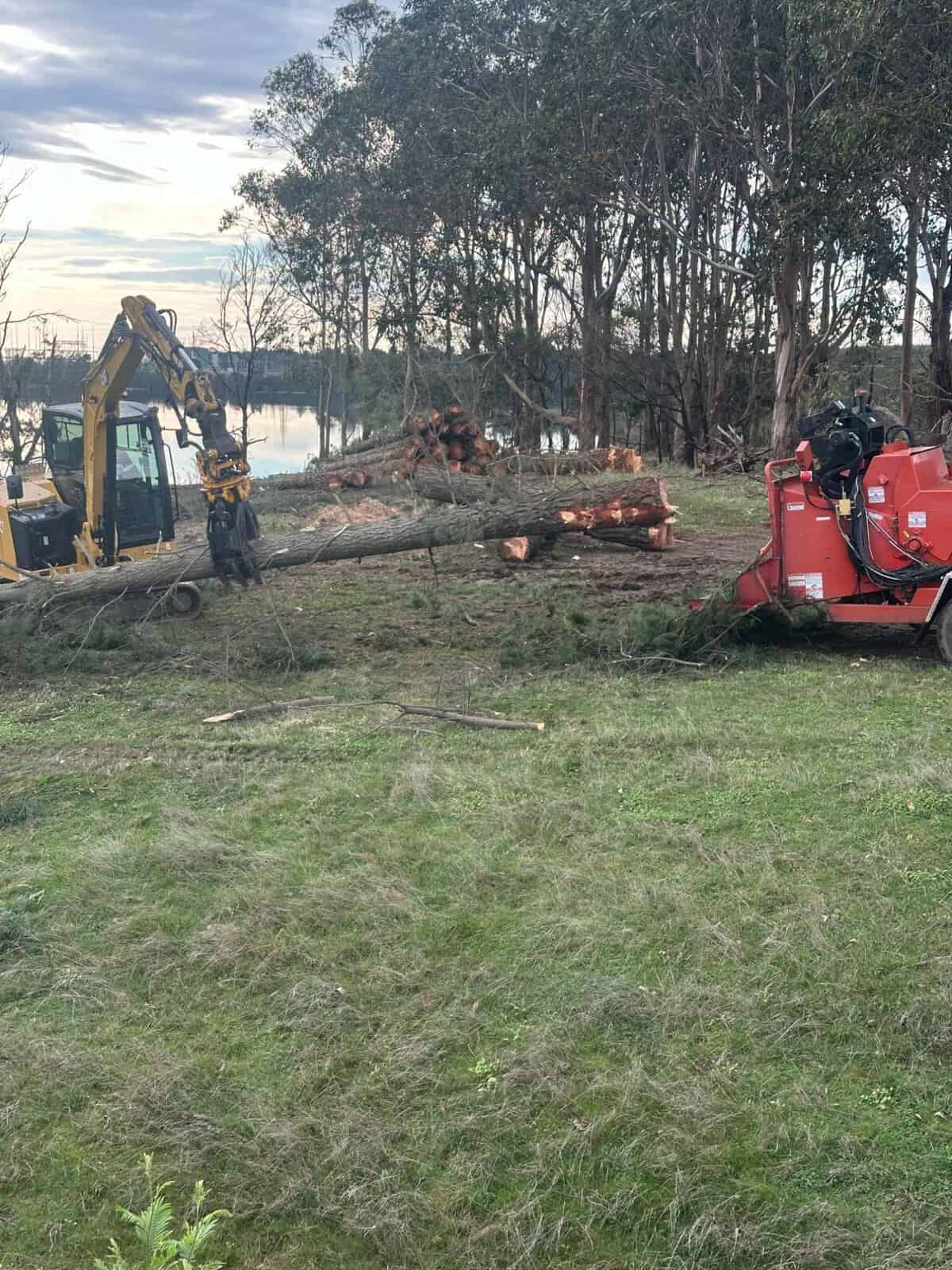 Mulch being processed
